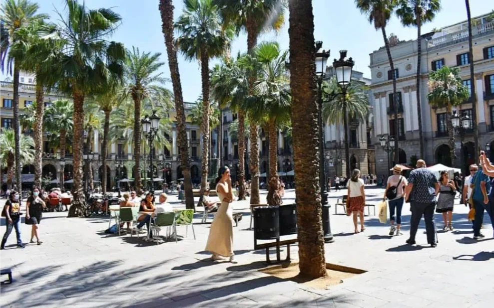 placa-reial